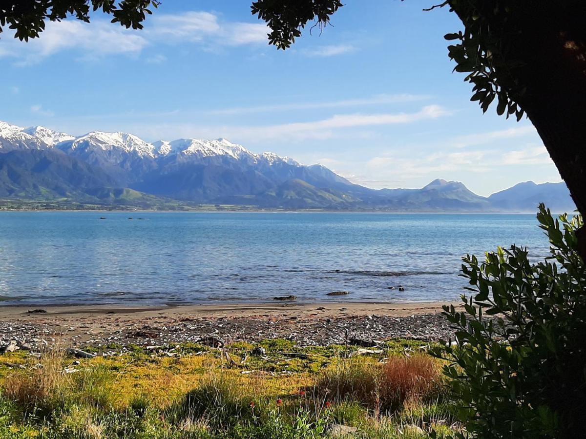 Panorama Motel Kaikoura Exteriör bild